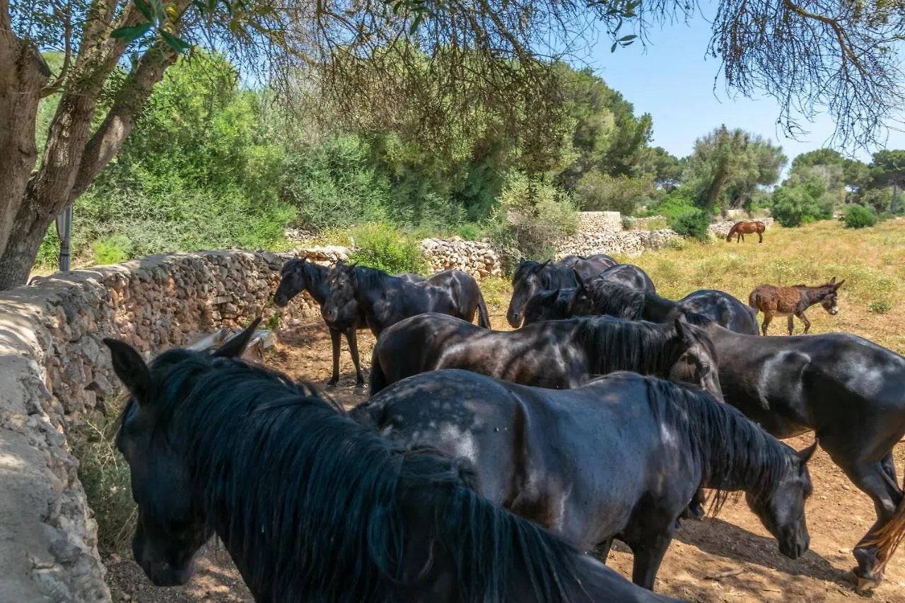 Talaia D'Artrutx Villa Ciutadella